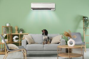 Joli cocker épagneul assis sur le canapé dans la chambre avec l'opération de climatisation