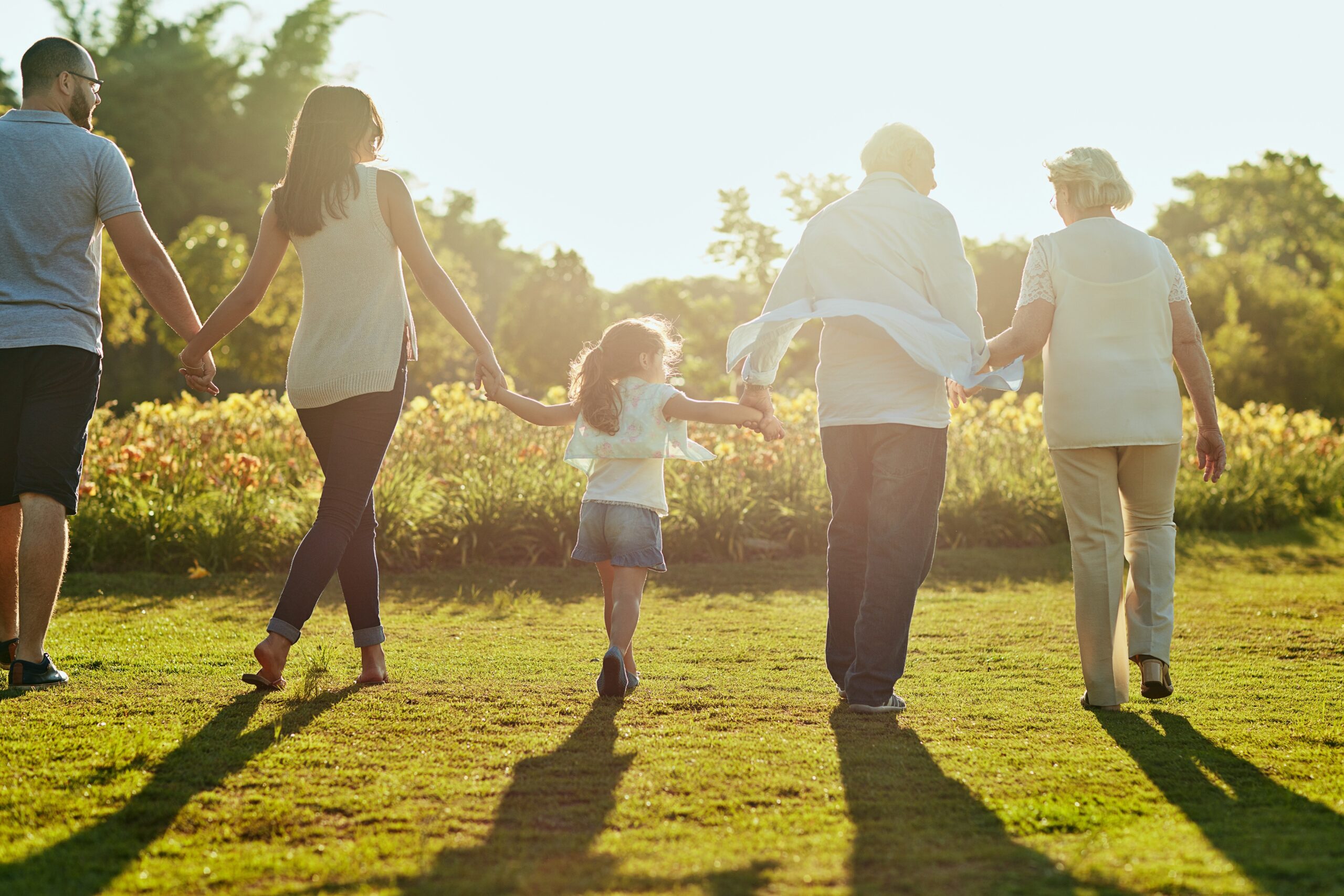 back,,holding,hands,and,love,with,big,family,in,garden